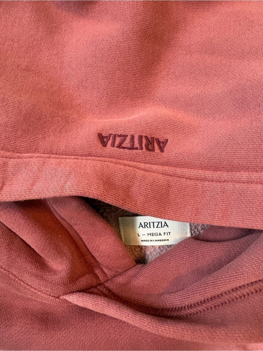 Aritzia Cozy Sweatfleece Mega Raglan™ Hoodie